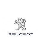 Misutonida Frontbügel, Seitenstufen und Zubehör für Peugeot Rifter