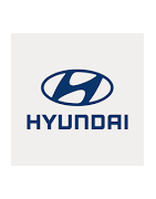 Misutonida Frontbügel, Seitenstufen und Zubehör für  2005 - 2006 Hyundai Santa Fe